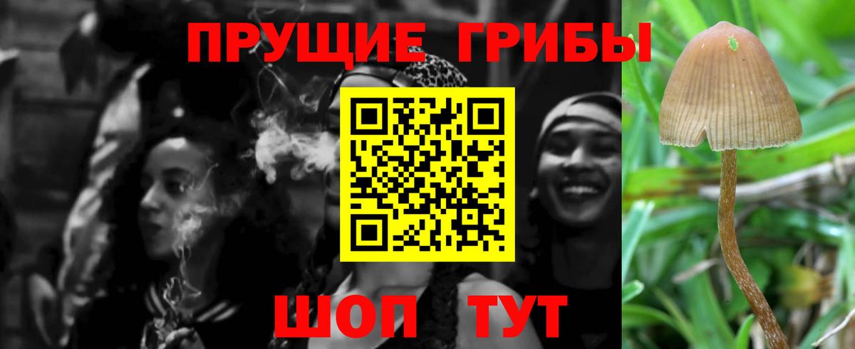 Вичуга  Галлюциногенные грибы Psilocybine cubensis  Вход с VPN 